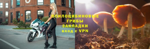хмурый Нея