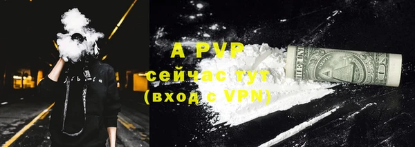 хмурый Нея