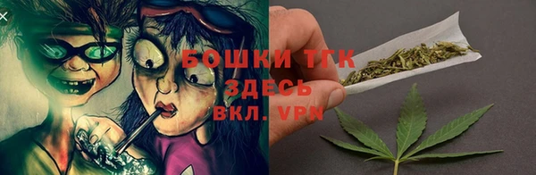 хмурый Нея