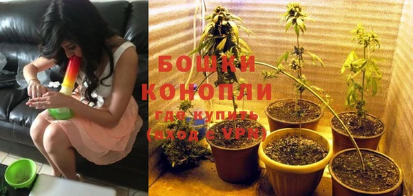 хмурый Нея