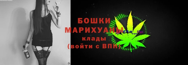 индика Нефтегорск
