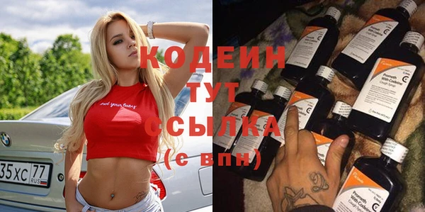 индика Нефтегорск
