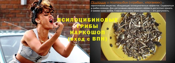 индика Нефтегорск