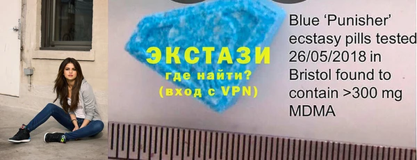 хмурый Нея